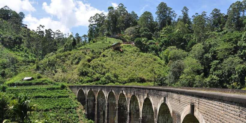 From Ella: Little Adam’s Peak and Nine Arches Bridge Hiking - What the guide adds to the morning