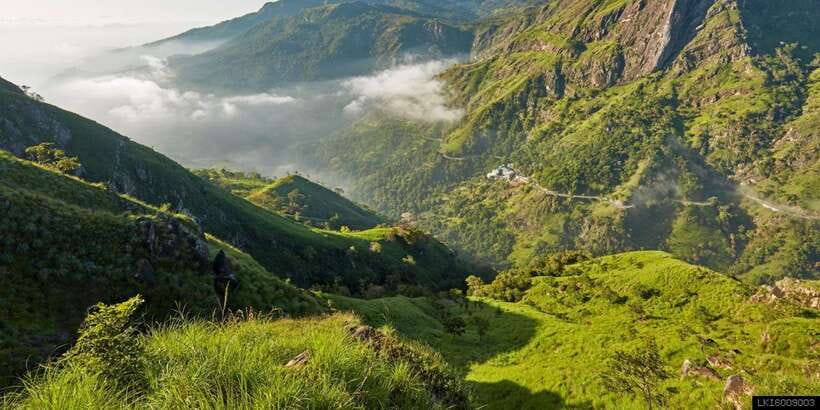 From Ella: Little Adam’s Peak and Nine Arches Bridge Hiking - Who should book this Ella hike