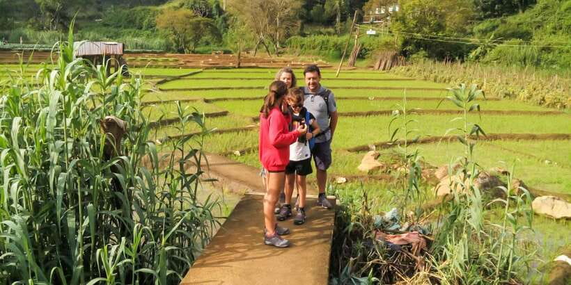 From Ella: Little Adam’s Peak and Nine Arches Bridge Hiking - Booking details worth knowing