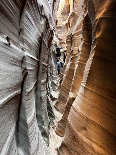 From Escalante: Zebra Slot Canyon Guided Tour and Hike - The striped walls of Zebra Slot Canyon