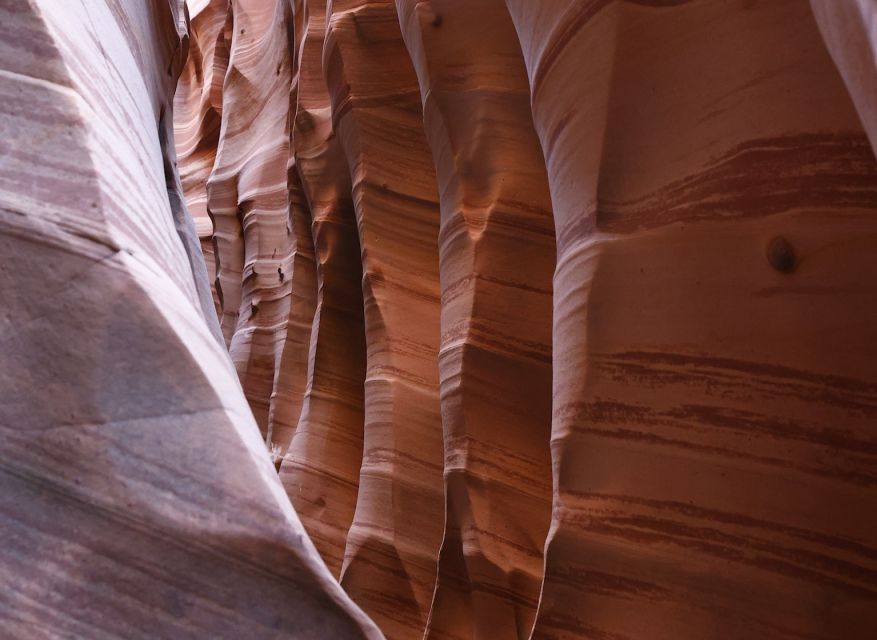 From Escalante: Zebra Slot Canyon Guided Tour and Hike - The five-mile hike through open country