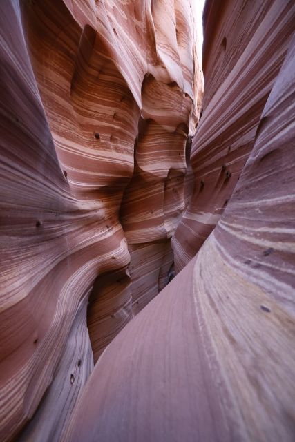 From Escalante: Zebra Slot Canyon Guided Tour and Hike - Squeezing and climbing inside the slot
