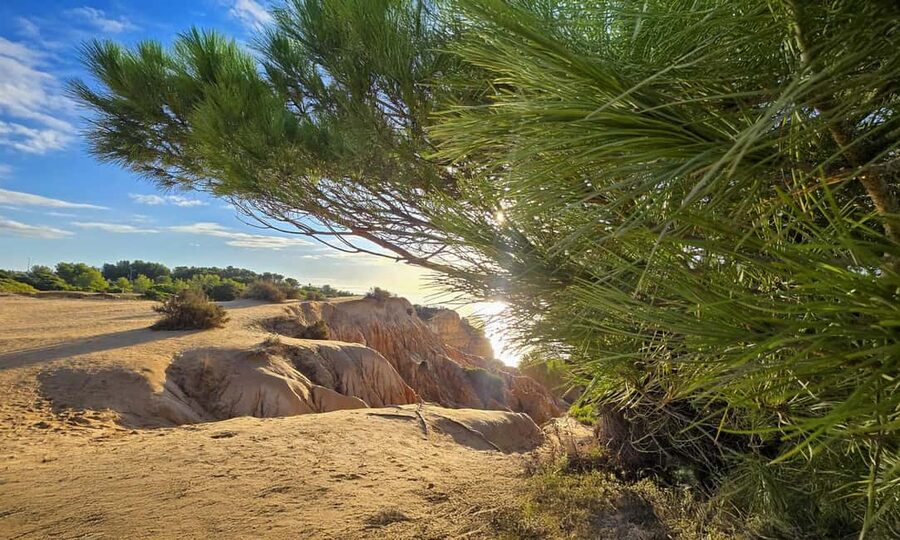 From Faro: Benagil Cliffs Hiking & 4 Treasures Experience - How the day feels in the van