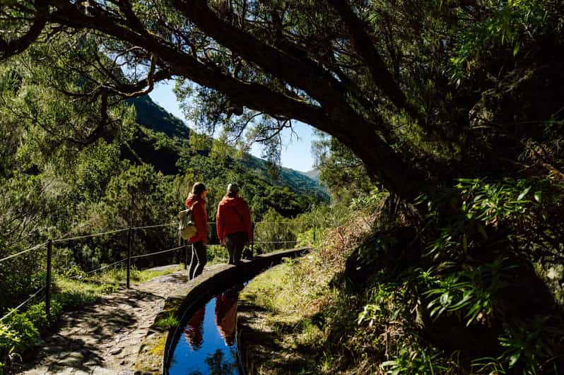 From Funchal/Caniço: Rabaçal Hike (25 Fontes) Bus Transfer - Choosing between 25 Fontes, Risco, and the tunnel