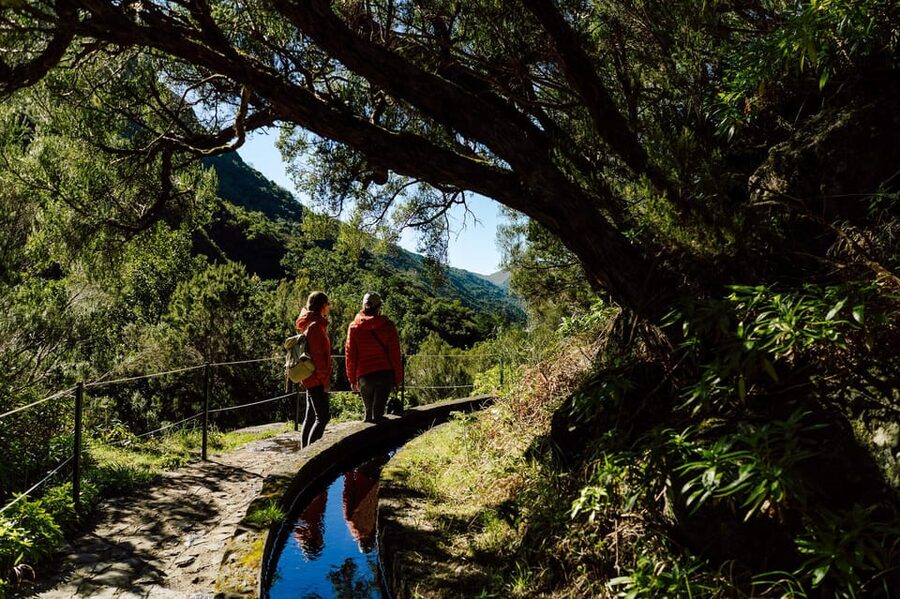From Funchal/Caniço: Rabaçal Hike (25 Fontes) Bus Transfer - Who should choose this trip?