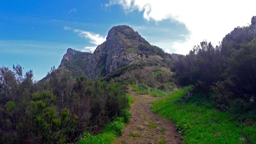From Funchal: Machico to Porto da Cruz Larano Cliff Hike - A full-day walk across Madeira’s changing scenery