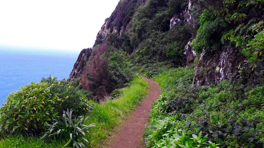From Funchal: Machico to Porto da Cruz Larano Cliff Hike - How difficult is the 12-kilometer hike?