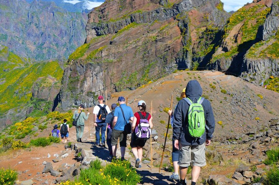 From Funchal: Madeira Peaks Mountain Walk - The guides and the value of a $50 tour