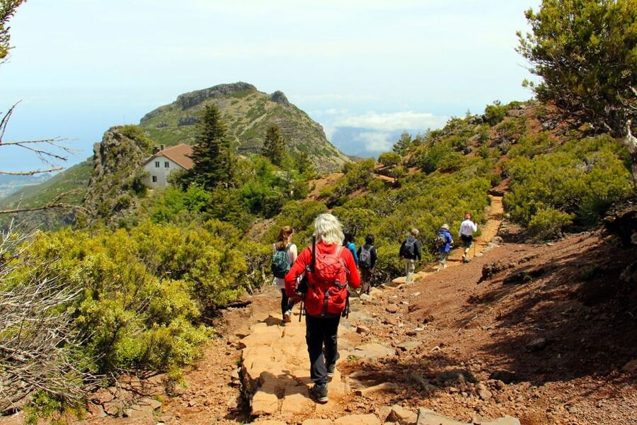 From Funchal: Madeira Peaks Mountain Walk - Why this mountain walk is worth your day