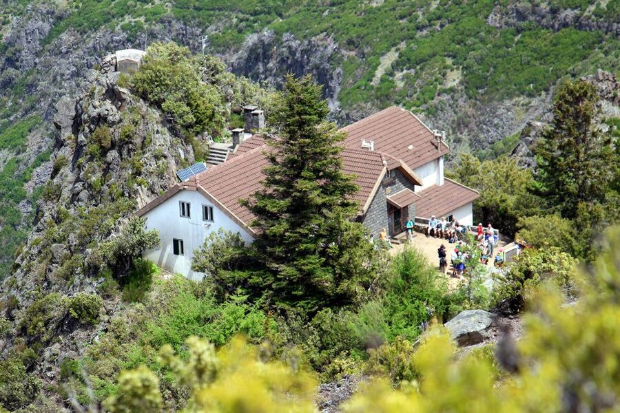 From Funchal: Madeira Peaks Mountain Walk - Reaching Pico Ruivo