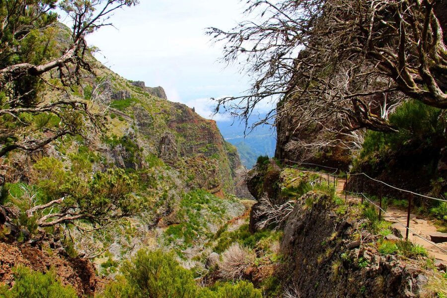 From Funchal: Madeira Peaks Mountain Walk - What happens if the weather turns bad