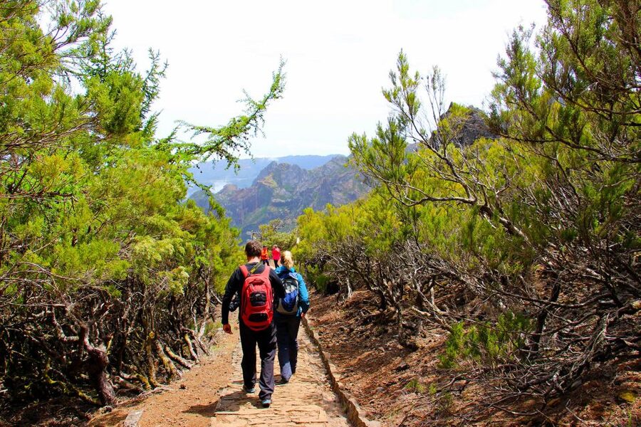 From Funchal: Madeira Peaks Mountain Walk - Fitness, clothing, and what to pack
