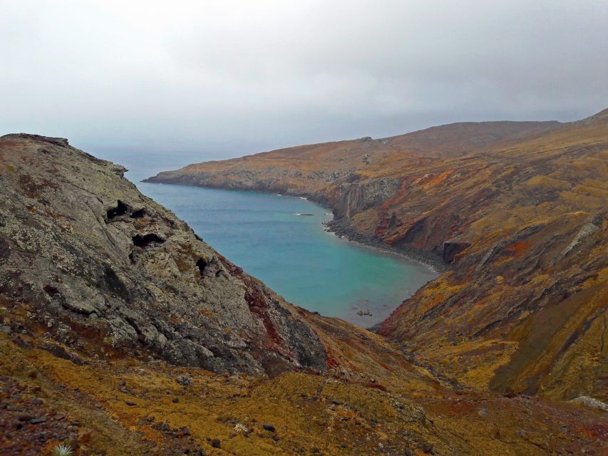 From Funchal: Ponta de São Lourenço/Caniçal Full-Day Hike - Walking the peninsula’s cliffs and volcanic rock