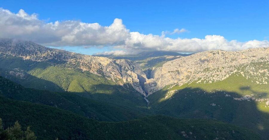 From Genna Silana: Canyon of Gorropu Guided Hike - Starting at Genna Silana Among Old Trees
