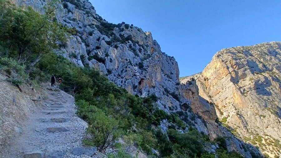 From Genna Silana: Canyon of Gorropu Guided Hike - Who Will Enjoy This Experience