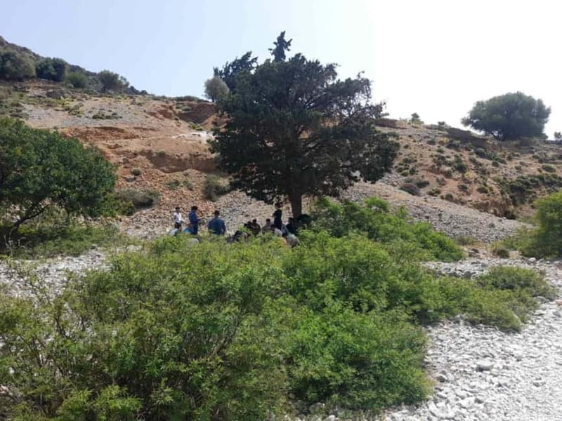 From Georgioupoli: Easy Hiking Day-Trip to Imbros Gorge - How this compares with a more demanding gorge trip