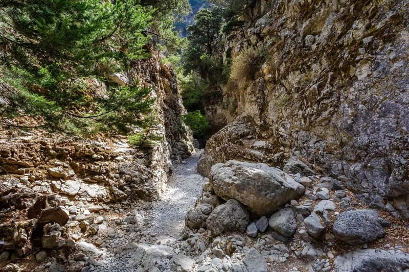 From Georgioupoli: Easy Hiking Day-Trip to Imbros Gorge - Through the Askifou Mountains to Imbros