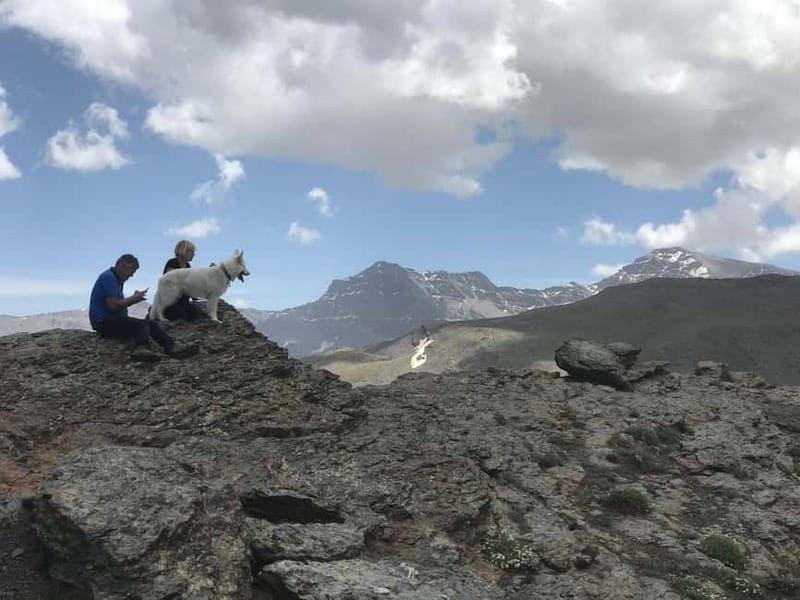 From Granada: High Sierra Nevada hiking experience - Who Will Enjoy This Experience Most?