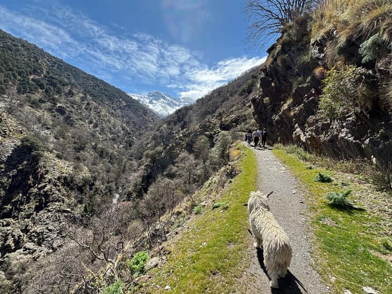 From Granada: High Sierra Nevada hiking experience - Walking into the San Juan Glacier Valley
