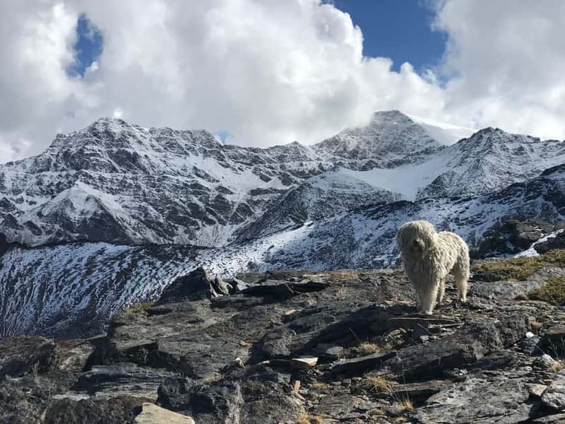From Granada: High Sierra Nevada hiking experience - How Hard Is the Eight-Kilometer Hike?