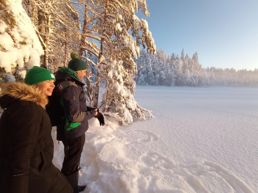 From Helsinki: Nuuksio National Park Hiking Tour with Food - Summer berries, forest plants, and a possible lake swim