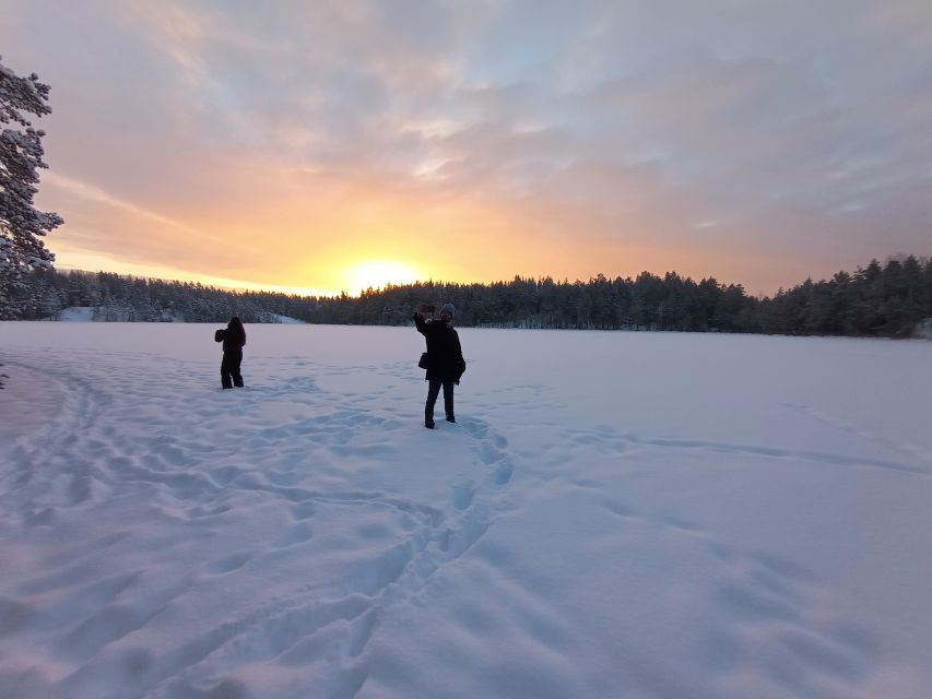 From Helsinki: Nuuksio National Park Hiking Tour with Food - David makes the forest easier to read