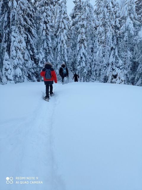 From Helsinki: Nuuksio National Park Hiking Tour with Food - Final verdict: a strong half-day nature trip