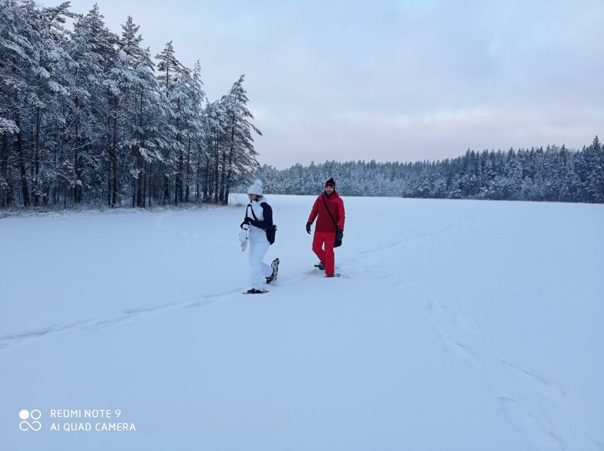 From Helsinki: Nuuksio National Park Hiking Tour with Food - What winter adds to the Nuuksio outing