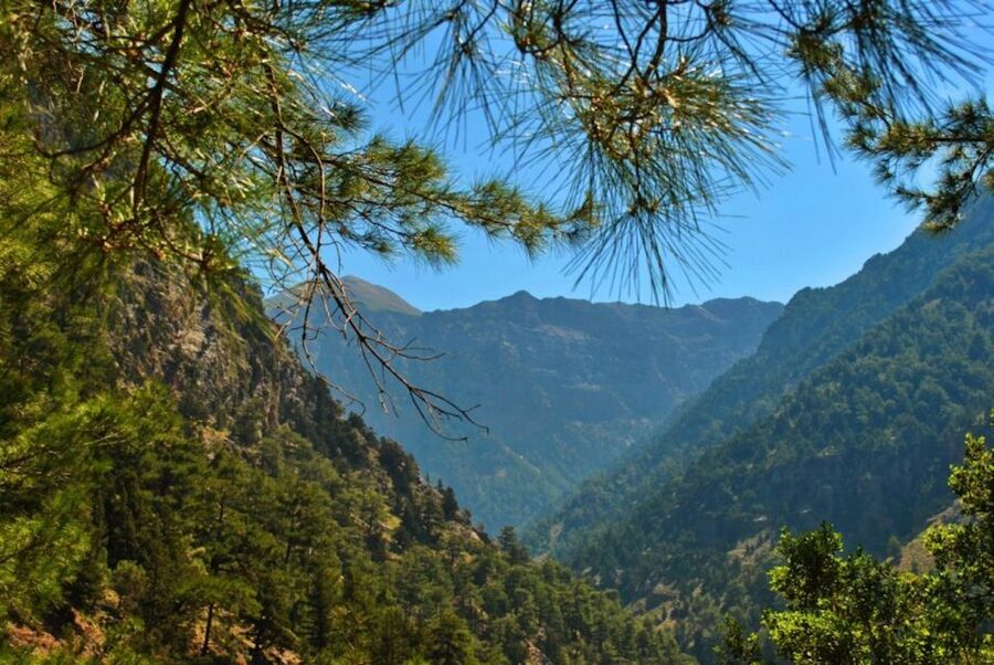 From Heraklion: Samaria Gorge & Agia Roumeli Hiking Day Trip - How the guides affect the experience