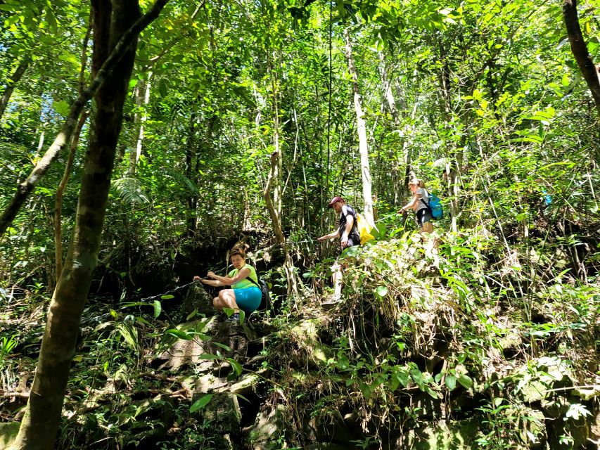 From Hue: Bach Ma National Park Hiking Day Trip with Pickup - What to pack for a safer, better day