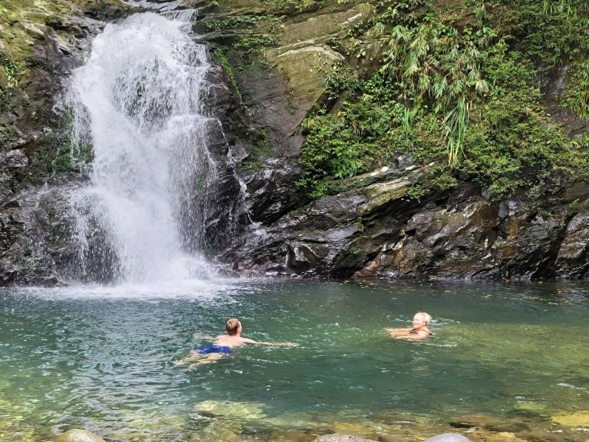 From Hue: Bach Ma National Park Hiking Day Trip with Pickup - The guides are central to the experience
