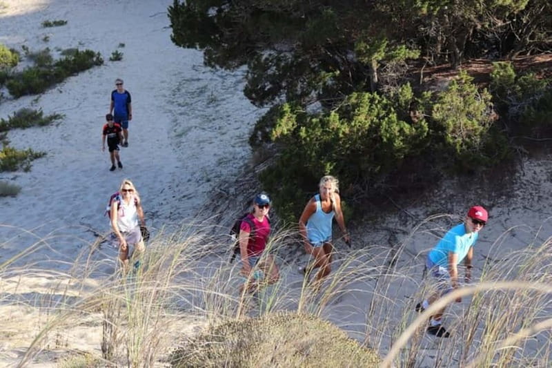 From Kalamata: Day Trip Hike to Gialova Lagoon with Dinner - Climbing toward the old Navarino castle