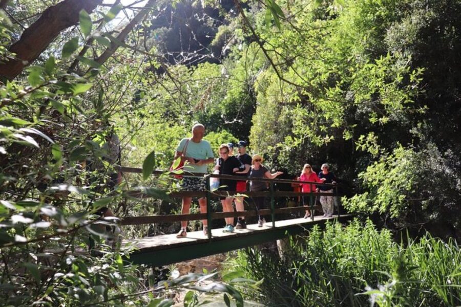 From Kalamata: Polylimnio Waterfalls Guided Hiking Tour - Coffee, snacks, and Messinian stories