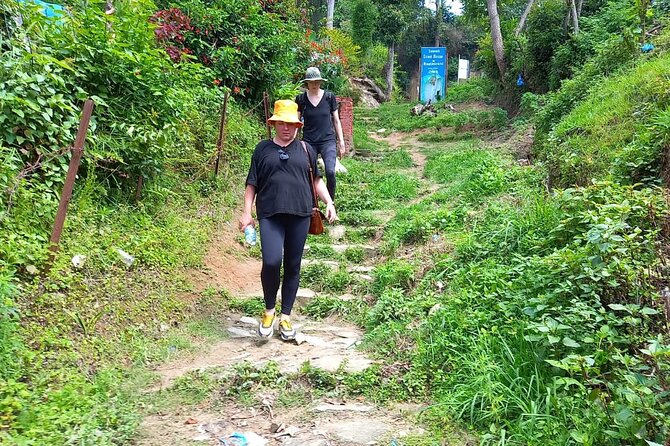 From Kathmandu: Private Scenic Day Hike to NamoBuddha - Lunch with a choice of thali or momo