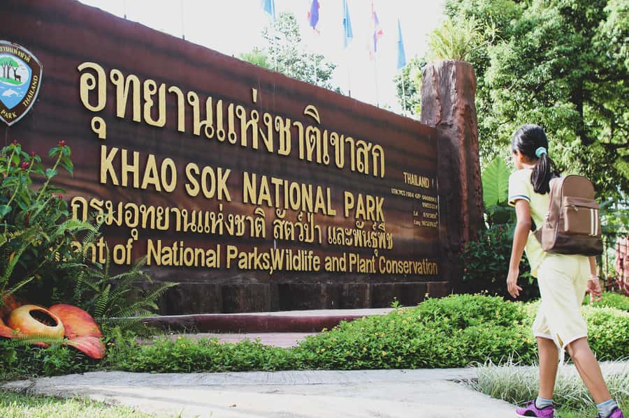 From Khao Lak: Khao Sok Jungle Hike & River Tour - Should you book this Khao Sok day trip?