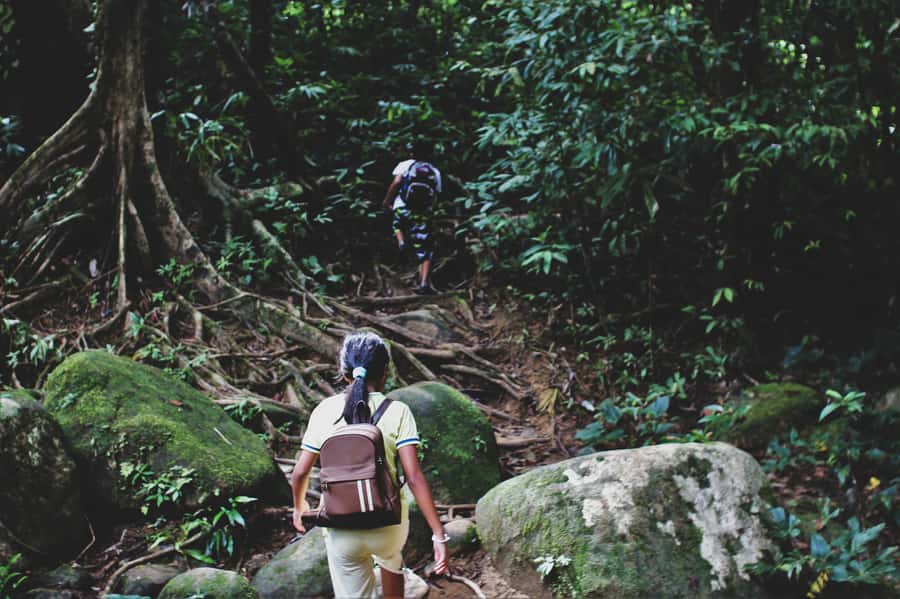 From Khao Lak: Khao Sok Jungle Hike & River Tour - From Khao Lak to Khao Sok National Park