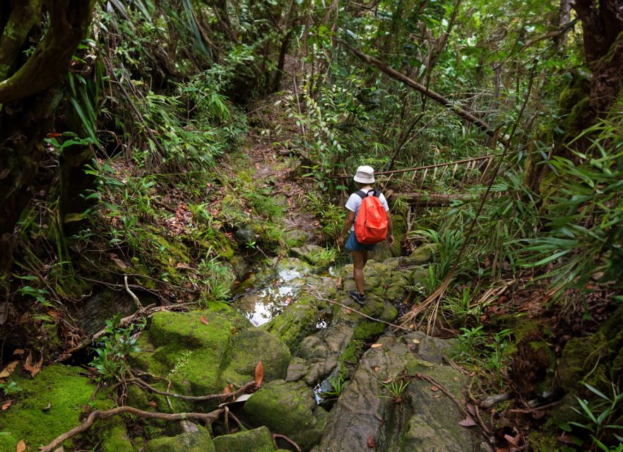 From Khao Lak: Khao Sok Jungle Hike & River Tour - Is the $95 price good value?