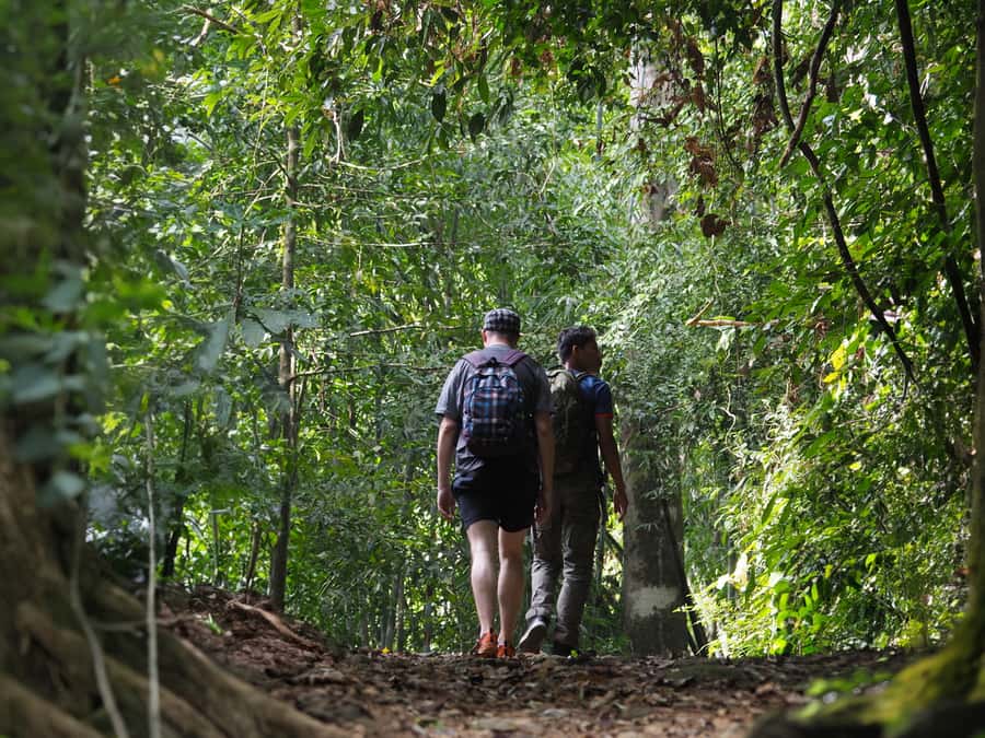From Khao Lak: Khao Sok Jungle Hike & River Tour - What to bring, and who should skip it