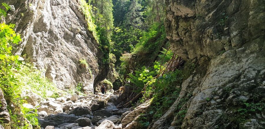 From Krakow: Hiking in the Tatra Mountains and Thermal baths - Krakow Gorge and the Dragon’s Den section