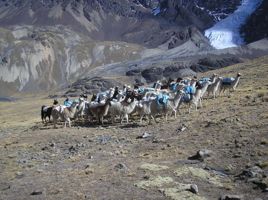 From La Paz: Condoriri Andes, Pico Austria Full Day Hiking - Should you book this Condoriri experience?