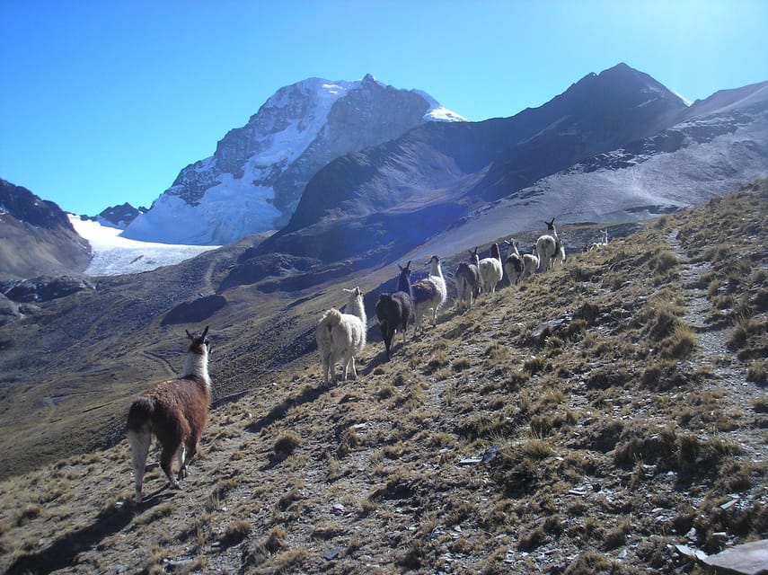 From La Paz: Condoriri Andes, Pico Austria Full Day Hiking - Pico Austria and the high point of the route