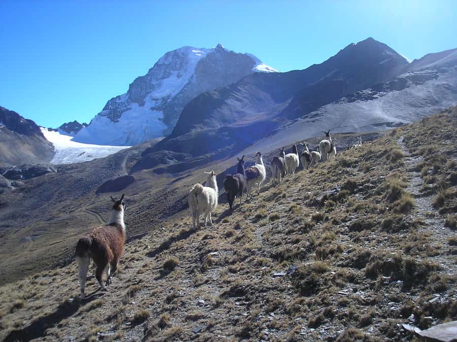 From La Paz: Condoriri Andes, Pico Austria Full Day Hiking - Who should book the Condoriri hike?