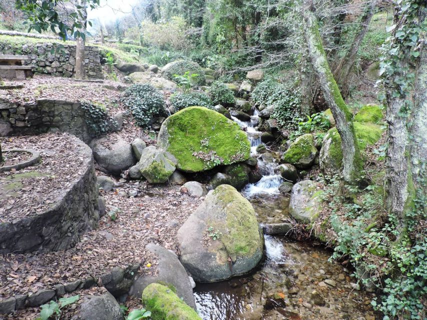 From Lagos: Monchique Private Guided Hike + Medronho Tasting - Why Monchique makes a good change from the coast