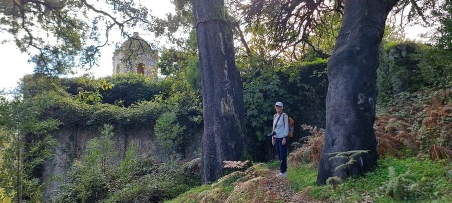 From Lagos: Monchique Private Guided Hike + Medronho Tasting - What the guide adds to the day