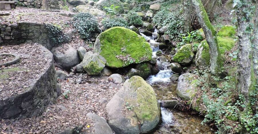From Lagos: Monchique Private Guided Hike + Medronho Tasting - Who should book this Monchique hike?
