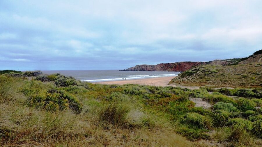 From Lagos: Private Guided Hike along the Vicentina Coast - Starting at Amado Beach