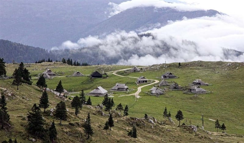 From Ljubljana: Velika Planina Guided Hike - The one-hour drive from Ljubljana