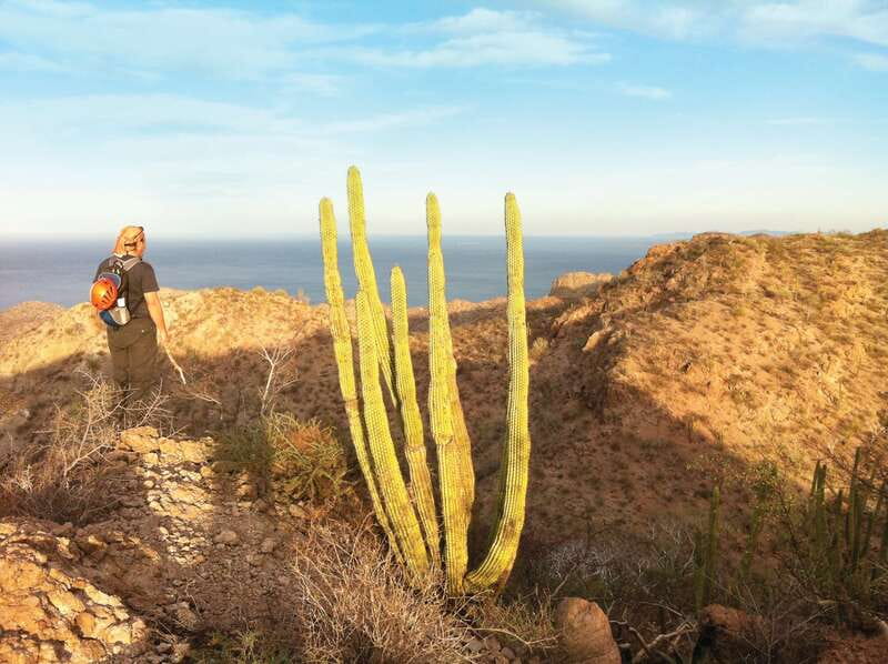 From Loreto: Canipole Cave Painting Guided Hike - Leaving Loreto for the San Francisco Mountains