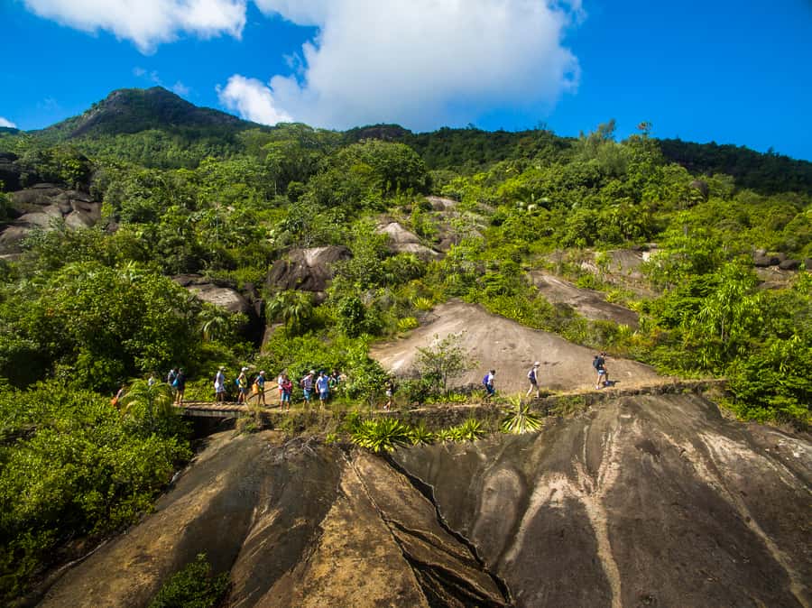 From Mahe: Guided Nature Trail Walk to Anse Major Beach - Starting through Glacis and the open woodland