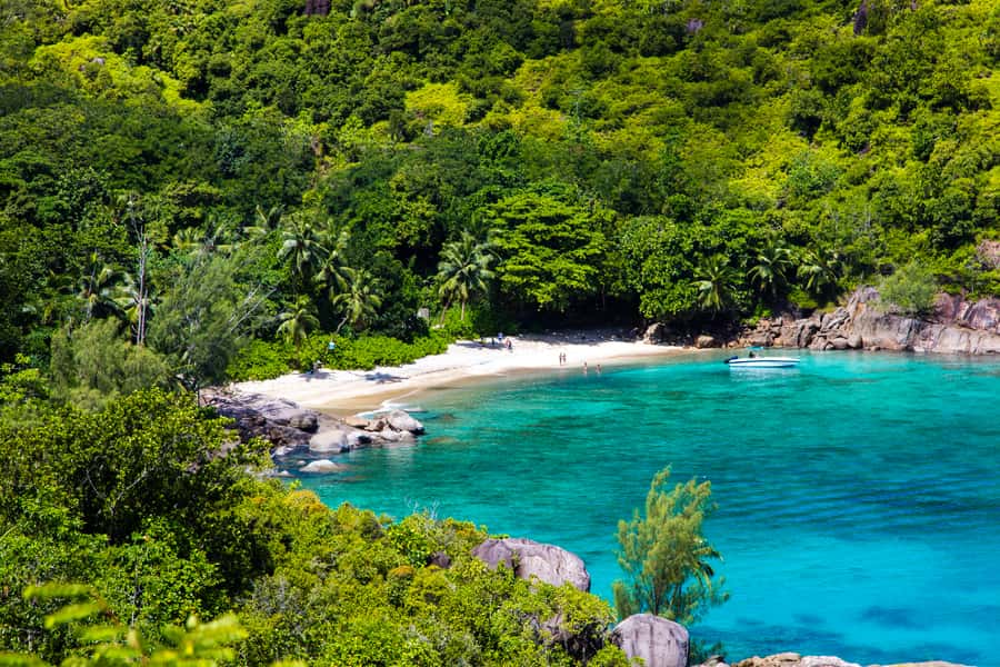 From Mahe: Guided Nature Trail Walk to Anse Major Beach - Reaching Anse Major after the river crossing